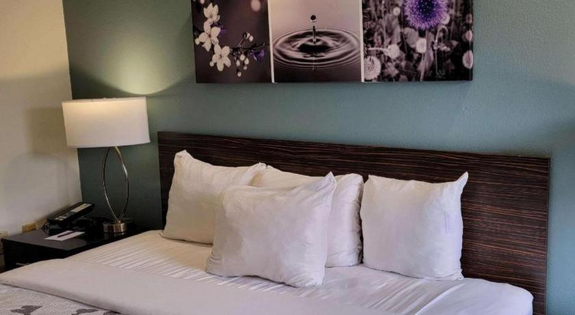 Sleep Inn Bessemer Helena Exterior foto